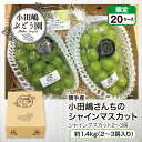 商品画像2