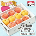 山形産 白桃・黄金桃(有袋栽培)食べ比べセット 約3kg(9〜11個入)産地直送 送料無料