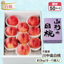 天童産 川中島白桃 約3kg(9~11個入)産地直送 送料無料