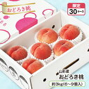 山形産 おどろき桃 約3kg(6~9個入)産地直送 送料無料