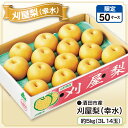 酒田市産 刈屋梨(幸水) 約5kg(3L 14玉)産地直送 送料無料 梨 なし 和梨 刈屋梨 幸水梨 こうすい フルーツ 果物 山形産 特産 ご当地 人気 高級...