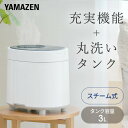 加湿器 スチーム式加湿器 スチーム加湿器 卓上 オフィス お