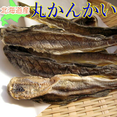 北海道産 丸かんかい 氷下魚 /320g-3袋セット