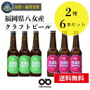 【送料無料】 銀賞 受賞！クラフトビール 飲み比べ 2種 6本 詰合せセット（フルーツビール・IPA）福岡 八女 地ビール クラフト ビール お酒 お試しセット 飲み比べセット ギフトセット【母の日 父の日】八女ブルワリー