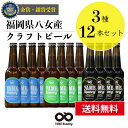 受賞ビール 【送料無料】金賞・銀賞 受賞！クラフトビール 飲み比べ 3種 6本 詰合せセット（ピルスナー・IPA・ブラック）福岡 八女 地ビール クラフト ビール お酒 お試しセット 飲み比べセット ギフトセット【母の日 父の日】八女ブルワリー