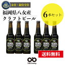 受賞ビール 【送料無料】金賞 受賞！クラフトビール ブラック(黒) 6本 詰め合せセット 福岡 八女 地ビール クラフト ビール お酒 お試しセット 飲み比べセット ギフトセット【母の日 父の日】八女ブルワリー