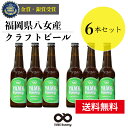 受賞ビール 【送料無料】 銀賞 受賞！クラフトビール 深蒸し IPA 6本 詰合せセット 福岡 八女 地ビール クラフト ビール お酒 お試しセット 飲み比べセット ギフトセット【母の日 父の日】八女ブルワリー