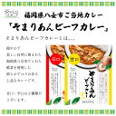 【送料無料】金賞・銀賞 受賞！クラフトビール 飲み比べ 4種 6本 詰合せ＆ご当地カレーセット福岡 八女 地ビール クラフト ビール お酒 お試しセット 飲み比べセット ギフトセット【母の日 父の日 】八女ブルワリー 2