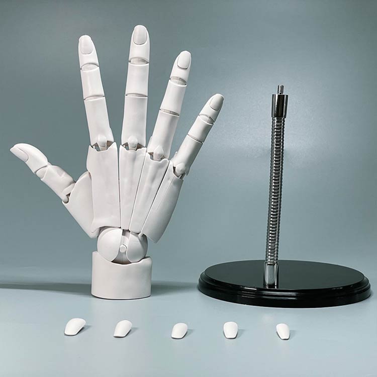 左手 ハンドモデル 模型 右手 1/1 1/1 R 可動式 バイオニック指関節 曲げられるスタンド付き L デッサン用素体美術 フィギュア ホワイト グレー アニメ モデル ハンド スキンカラー イラスト デッサン 可動手首 [3]