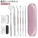 自宅用 歯石とり 6点セット ケース付き 先極細 口腔清潔 スケーラー 口腔ケア器具 ヤニとり ステンレス製 歯石取り 歯石除去 プロ仕様 歯垢 虫歯 デンタル...