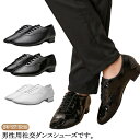 メンズ 社交ダンス 男性 ダンス用品 シューズ 男性用 ダンスシューズ モダンダンス シューズ ラテンダンスシューズ 男の子 靴 ダンス メンズ タンゴ 社交ダ...