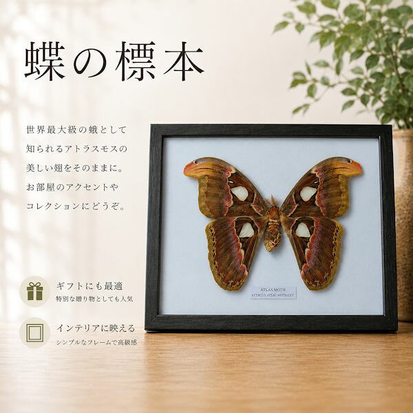 Rakuten