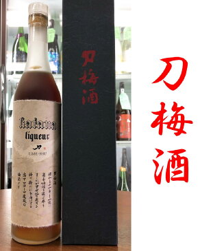 刀梅酒　500ml　佐多宗二商店　超限定品　【ギフト】【お年賀】【お歳暮】【お中元】【プレゼント】　超濃厚梅酒　※在庫入れ替えに付き期間限定送料無料