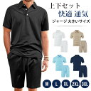 上下セット ジャージ 大きいサイズ メンズ ポロシャツ ハーフパンツ ゴルフウェア 父 30代 40代 50代 セットアップ カジュアル ビッグサイズ 快適 無地 通気 上下スウェット