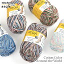 【マラソン限定ポイント5倍】毛糸 ソックヤーン / Schachenmayr(シャッヘンマイヤー) REGIA(レギア) Cotton Color Around the World (コットンカラーアラウンドザワールド) 春夏