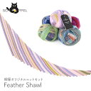 編み物 キット 毛糸 編み図 / SCHOPPEL(ショッペル) Crazy ZauberballのFeather Shawl(フェザーショール) / 柳屋 Bernd Kestler(ベルンド ケストラー) コラボ