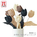 編み物 キット 毛糸 Hamanaka(ハマナカ) かぎ針で編むチューリップ