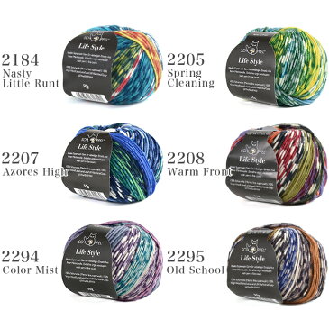 毛糸 輸入 / SCHOPPEL(ショッペル) Life Style print color(ライフスタイル) プリントカラー / あす楽