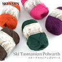 毛糸 合太 ウール 100％ / SKI YARN(スキー毛糸) スキー タスマニアンポロワース 2 秋冬