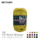 ю ɑ E[ 100 / SKI YARN(XL[ю) XL[ UKuhW 1 H~