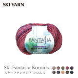 ӻ  ȥå   100 ǡ / SKI YARN(ӻ) ե󥿥 ˥  / ߸˥70OFF