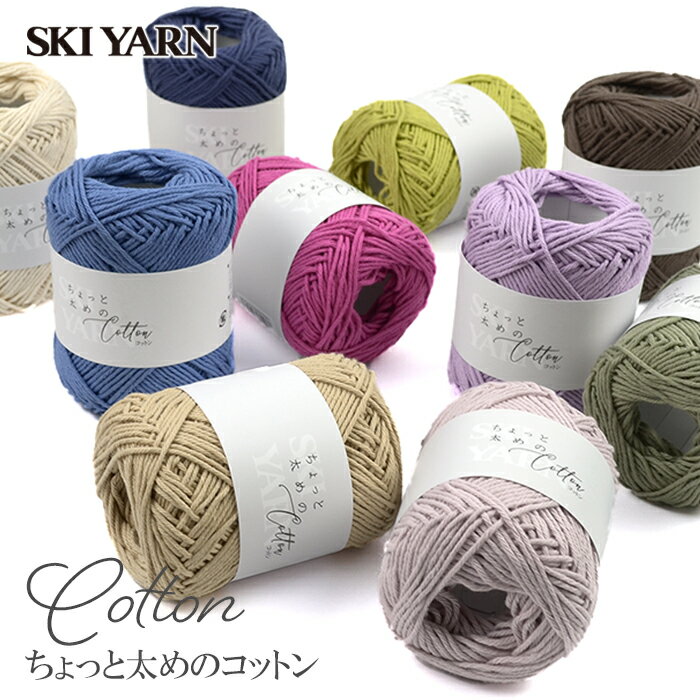  10{ ю T}[[ Rbg 100   SKI YARN(XL[ю) Ƒ߂̃Rbg t