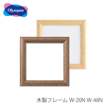刺しゅう額 刺繍額 フレーム 額 額縁 木製 / Olympus(オリムパス) 額 木製フレーム W-20 W-48
