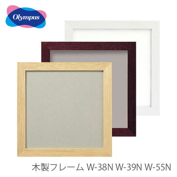 刺しゅう額 刺繍額 フレーム 額 額縁 木製 / Olympus(オリムパス) 額 木製フレーム W-38 W-39 W-55