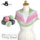 編み物 キット 毛糸 編み図 SCHOPPEL(ショッペル) Zauberball CottonのTrinity Shawl(トリニティショール) 柳屋 Bernd Kestler(ベルンド・ケストラー) コラボ