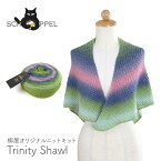 編み物 キット 毛糸 編み図 SCHOPPEL(ショッペル) Zauber FlowerのTrinity Shawl(トリニティーショール) 柳屋 Bernd Kestler(ベルンド・ケストラー) コラボ