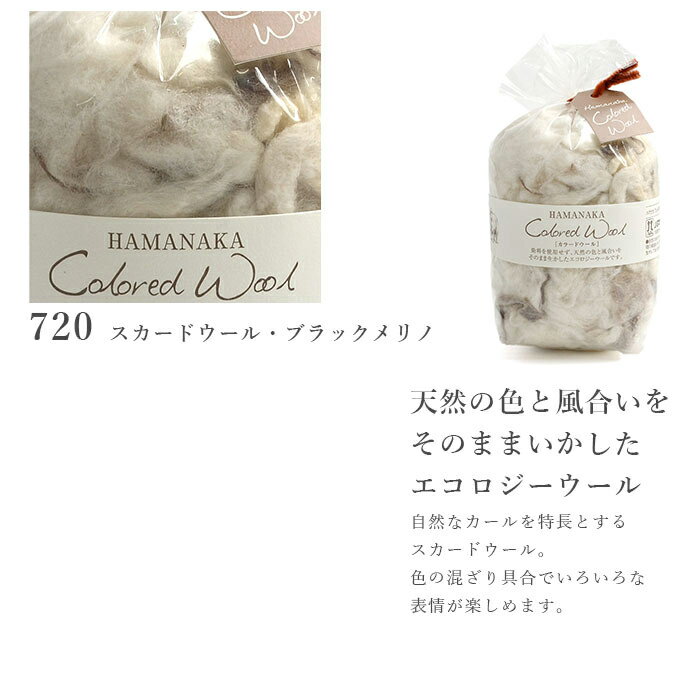 ���ӥե���� ���� ������ե���� / Hamanaka(�ϥޥʥ�) ���顼�ɥ�����