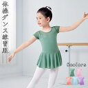 バレエレオタード 体操服 2点セット スナップボタン式 子供用 キッズ バレエ衣装 キッズウェア 体操 バレリーナ ダンス 練習服 ステージ衣装 シンプル ワン...