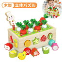 【期間限定!3680円→3380円】教育玩具 モンテッソーリ 立体パズル 形合わせ木製おもちゃ 果物の認知 形はめ込み 農場大根抜き 磁石虫取りゲーム 女の子 男の子 早期開発 指先訓練 クリスマス 誕生日プレゼントギフト 入園祝い