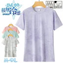【期間限定!3580円→2180円】ひんやり スポーツ Tシャツ レディース 接触冷感 スポーツウェア ドライ 冷感 スポーツウェア ドライ 半袖 夏 ランニン...