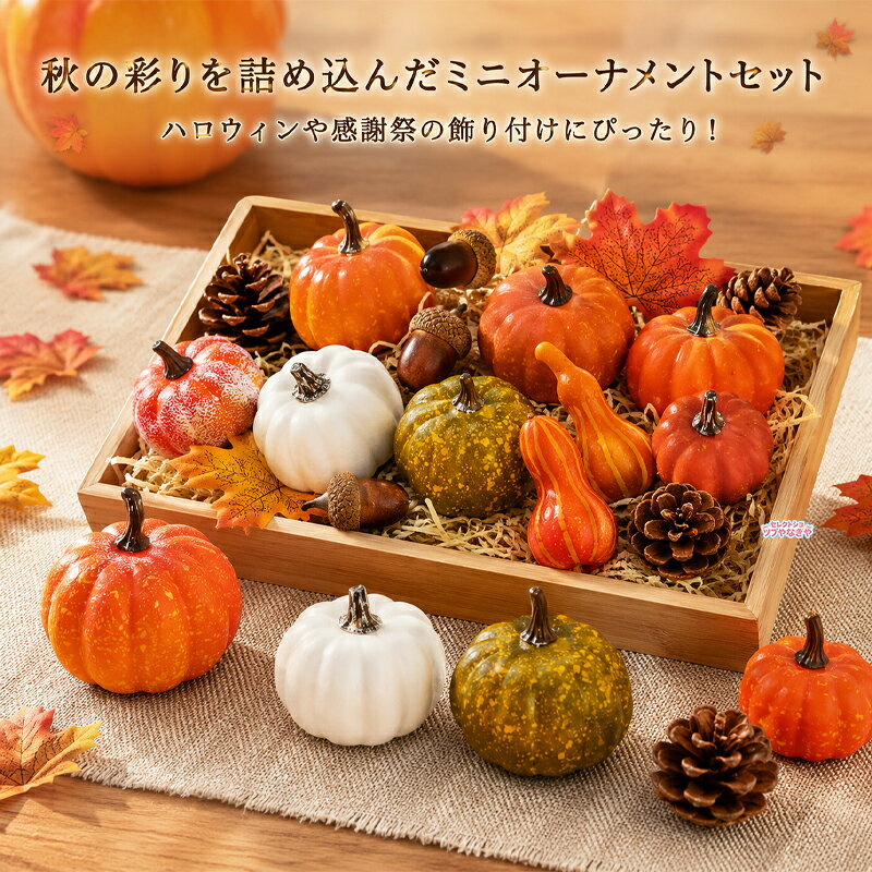 楽天市場】ハロウィン ミニかぼちゃの通販
