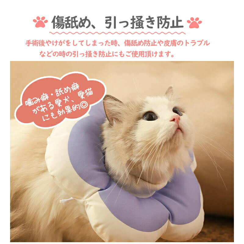���ꥶ�٥����顼 ǭ �� �ڥå� ���եȥ����� �Ѹ� ���Ӥ� ­�Ӥ��ɻ� ���� �� �Ҥä��� ���� �µ� ���� ���� ��� ���襤�� ���ե� Ĵ���ǽ ���� �ɿ�ù� ���å���� ���餫 �Υ󥹥ȥ쥹 ���顼 ǭ�� ���ѥɡ��ʥķ� ���Ӥ��ɻ� �����ߤ��ɻ�