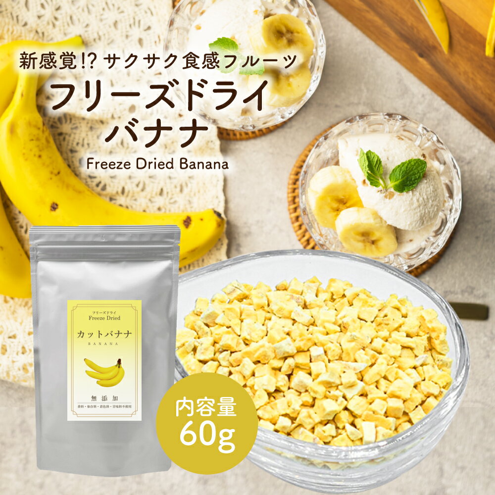 ե꡼ɥ饤 Хʥ 60g ( å :5mm ) ե꡼ɥ饤ե롼 ꥢ ȥåԥ  ̼  ʪ ...