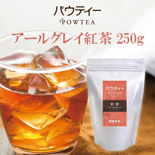 アールグレイ 紅茶 無糖 250g インスタント パウダー 業務用 パウティー