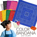 バンダナ ペイズリー柄 約55×55cm ランチクロス カラーが選べる 全9色 男の子 女の子 お弁当包み や ランチョンマット ランチクロス 給食 三角巾 テーブルクロス 大判ハンカチ スカーフ おしゃれ 調理実習 家庭科 料理教室 運動会 体育祭 クラスカラー 推しカラー【RCP】