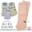 あにまる5本指ソックス ワンポイントネコ刺繍デザイン ドット柄 水玉 クルー丈 レディース 23-25cm 全4色 グレー パープル ピンク アッシュグリーン【...