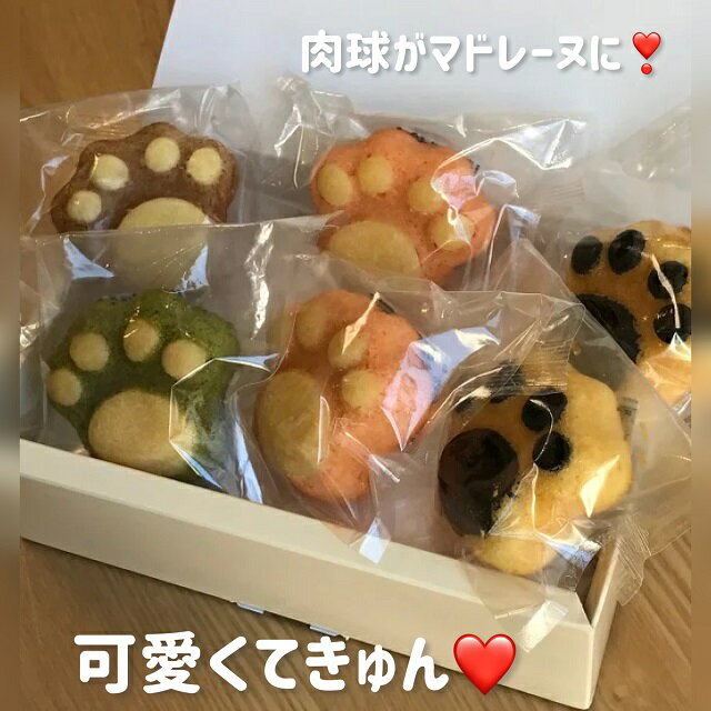 肉球マドレーヌ6個セット Sサイズ 焼き菓子 洋菓子 マドレーヌ 肉球 ネコ 猫 ねこ 谷中堂