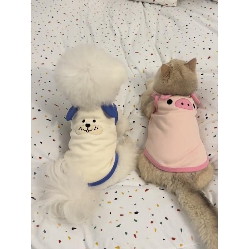 猫 服 春秋 かわいい 韓国風 金色 ブリティッシュショートヘア ペルシャ ブリティッシュロングヘア 犬 ..