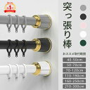 楽天1位! 即納【動画有り・レビュー特典】 突っ張り棒 つっぱり棒 強力 伸縮棒 強負荷 210-300cm 直径3.3mm 物干し竿 ドリル不要 洗濯物干し ...