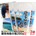 送料無料 塩 しお ソルト 塩麹 塩こうじ 塩辛 沖縄 国産 天然 天然塩 天日 天日塩 無添加 食用 食用塩 天日海塩 平釜 自然塩 ミネラル 健康 調味料 おにぎり 沖縄土産 沖縄お土産 お土産 おみやげ