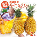 【送料無料】【ボゴールパイン2玉 1.5kg〜2kg】 パイナップル パイナップルケーキ パイナップル豆乳 パイナップルローション ちんすこう 苗 アップリケ ...