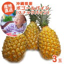 【送料無料】【ボゴールパイン3玉 2kg〜3kg】 パイナップル パイナップルケーキ パイナップル豆乳 パイナップルローション ちんすこう 苗 アップリケ シロ...