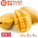 【送料無料】【訳あり】極甘やんばる金蜜マンゴー約1・2・3kg マンゴー 太陽のタマゴ マンゴージュース 沖縄 宮古島 完熟 タイ 沖縄 訳アリ 家庭用 宮崎県 マンゴーチョコ 秀 スイーツ スムージー 台湾 冷凍 沖縄土産 御中元 お中元 小玉 暑中見舞い 残暑見舞い