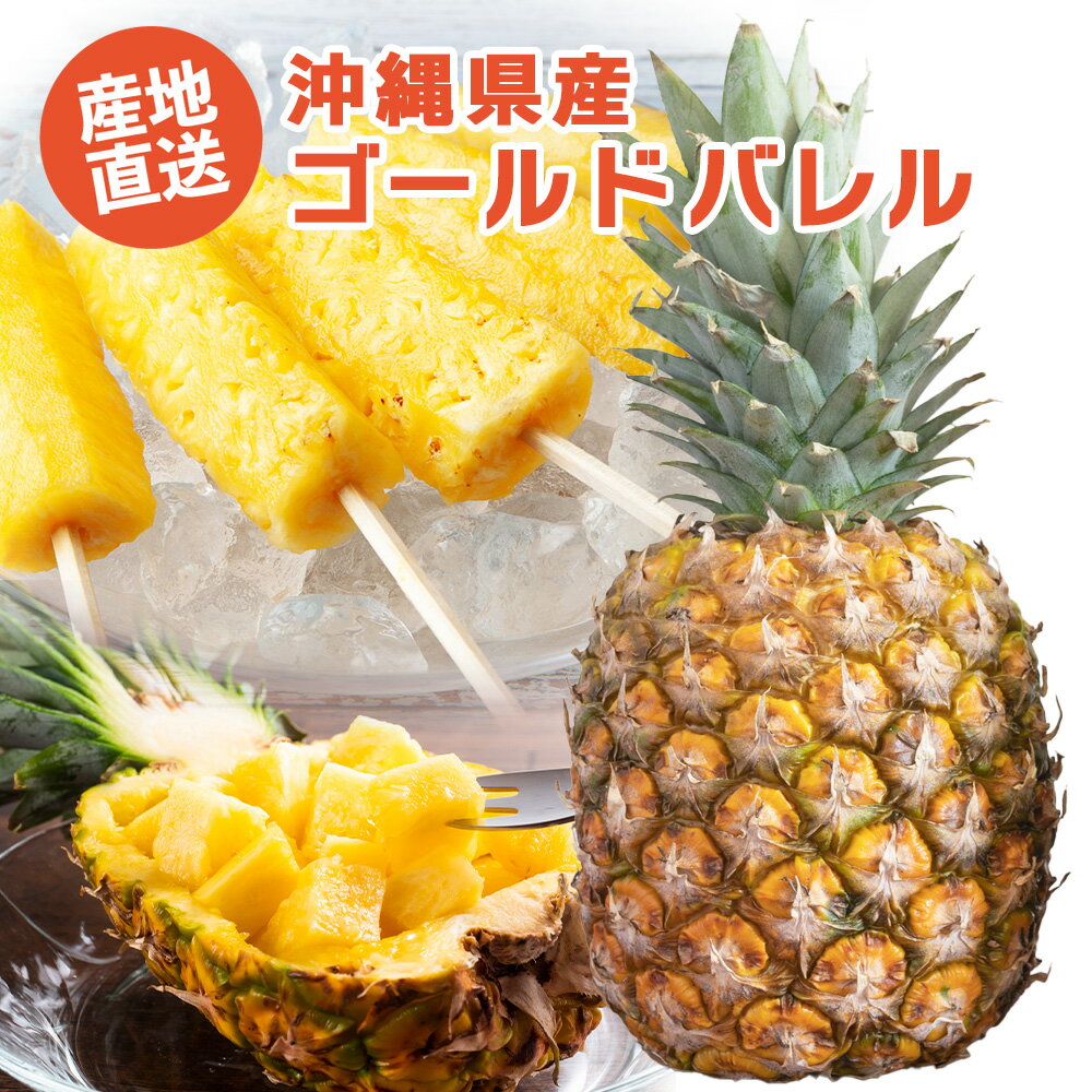 【送料無料】【ゴールドバレルパイン1玉~3玉】 パイナップル パイナップルケーキ パイナップル豆乳 パイナップルローション ちんすこう 苗 アップリケ シロップ 沖縄 生地 フロート dole ドライフルーツ 切り方 食べごろ 栄養 フルーツ ピーチパイン ゴールドバレル