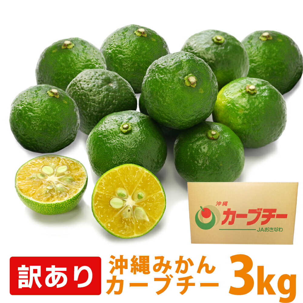 【期間限定】【カーブチー 3kg】 果物 フルーツ 食品 グルメ 訳あり 訳アリ わけあり 傷あり みかん ミカン 小玉みかん 小粒 ご家庭用 家庭用サイズ 箱買い 甘い 極早生 早生 温州 中生 晩生 柑橘 九州 蜜柑 甘いみかん あまいミカン 産地直送 農家直送 贈り物のサムネイル