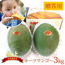 【送料無料】祝!楽天ランキングNo.1受賞!【極上やんばるキーツマンゴー約3kg( 贈答用 ) 】送料無料 果物 キーツマンゴー マンゴー 完熟マンゴー 完熟 産地直送 訳あり 秀品 沖縄産 国産 通販 プレゼント ギフト 残暑見舞い